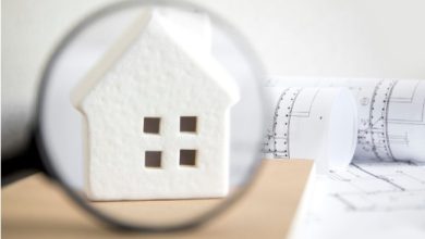 Everything You Need to Know about House Surveys