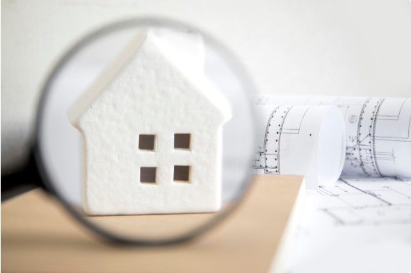 Everything You Need to Know about House Surveys