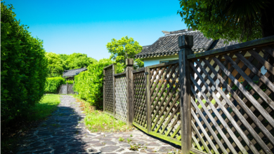 Everything You Need to Know About Fences Everything You Need to Know About Fences